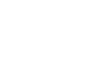 LES MOTS PERDUS